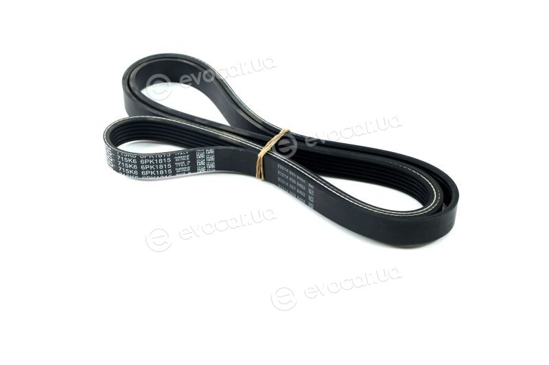 Dayco 6PK1815