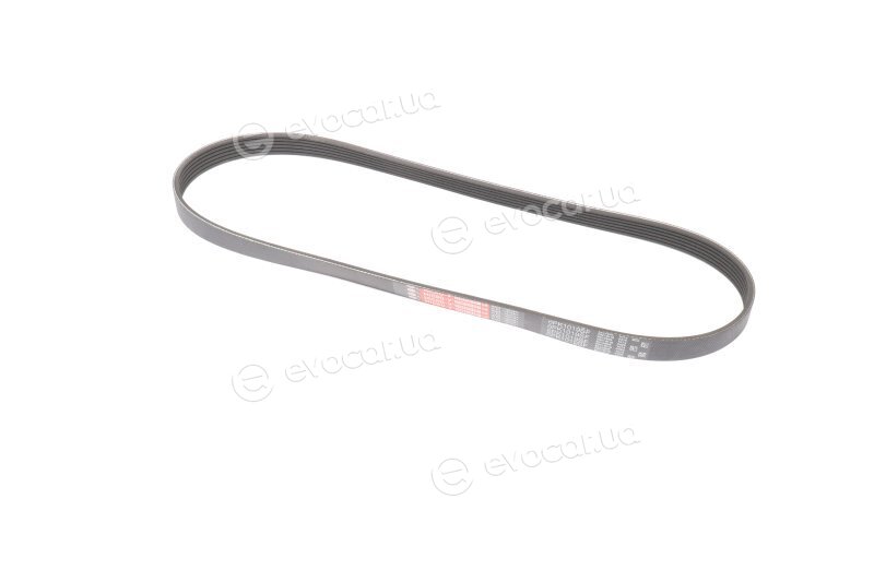 Gates 6PK1019SF