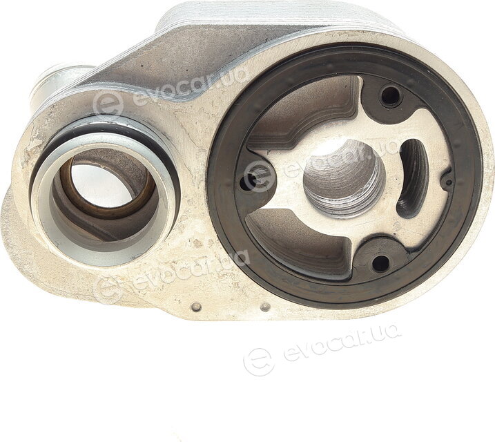 Van Wezel 17013703
