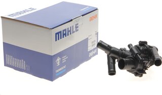 Mahle TM 79 97