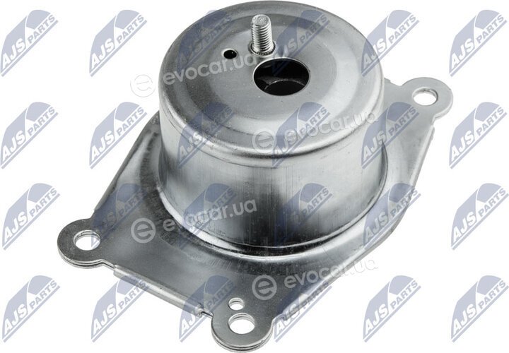 NTY ZPS-PL-031