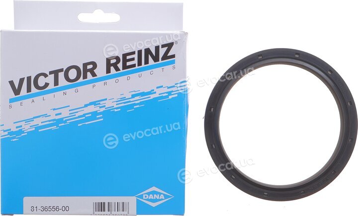 Victor Reinz 81-36556-00