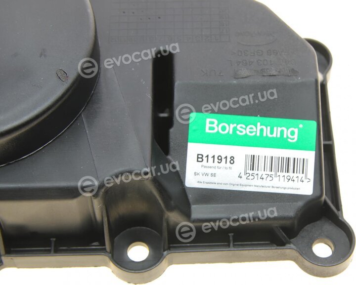 Borsehung B11918