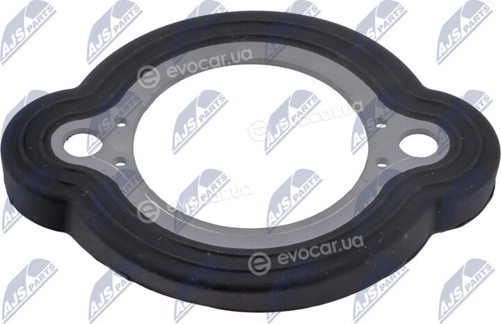 NTY NUP-BM-010