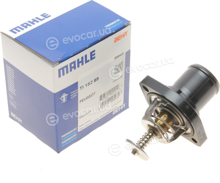 Mahle TI 182 89