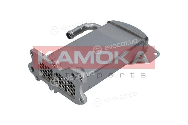 Kamoka 19C068