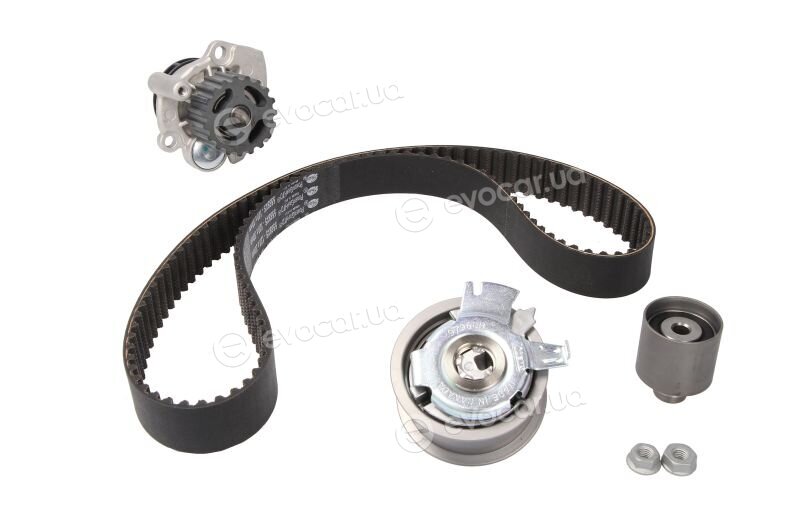 Gates KP55569XS-4