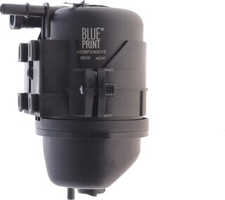 Blue Print ADBP230013