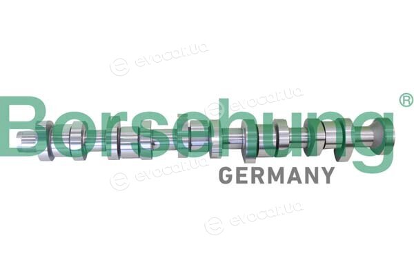 Borsehung B12299