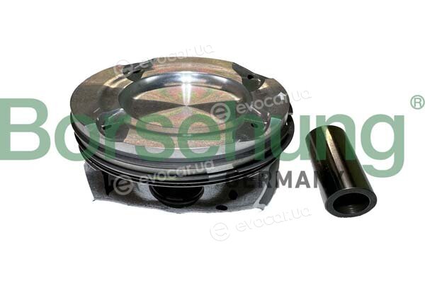 Borsehung B11138