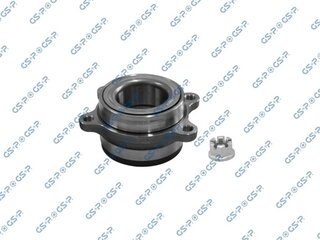 GSP 9253001A