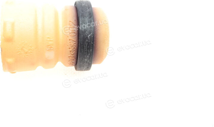 Borsehung B10007
