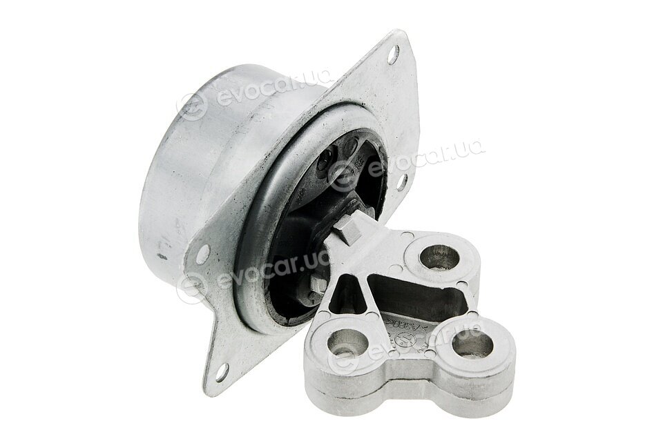 NTY ZPS-PL-025