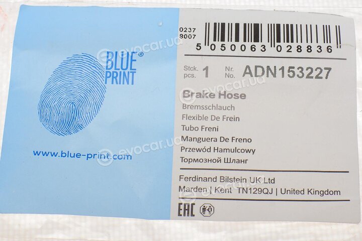 Blue Print ADN153227