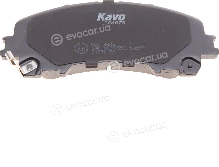 Kavo KBP-6618