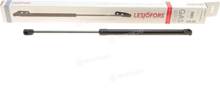 Lesjofors 8144213