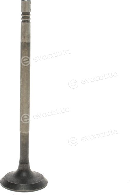Febi 176538
