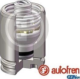 Autofren D025584K