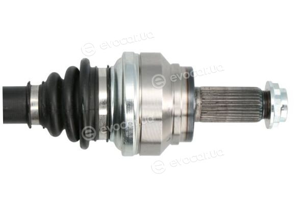 Pascal G2B049PC