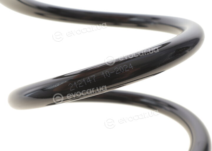 Solgy 212147