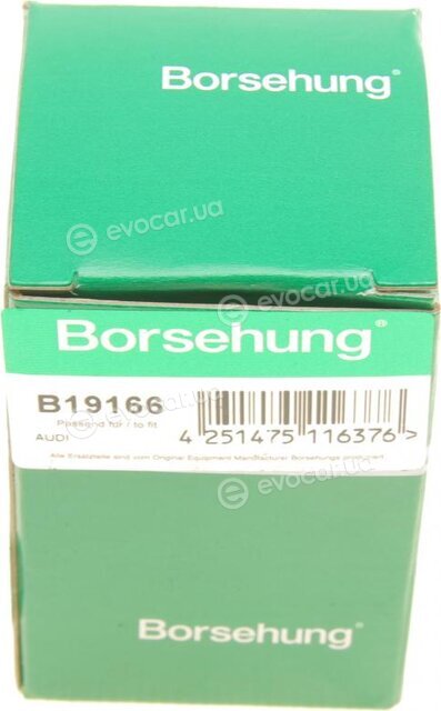 Borsehung B19166