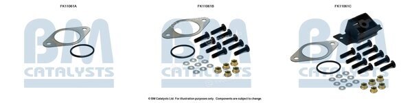 BM Catalysts FK11061