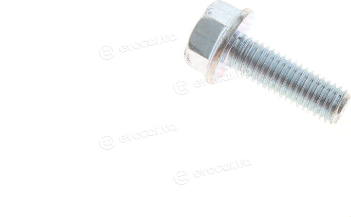 Solgy 203075