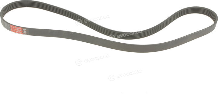 Gates 6PK1305