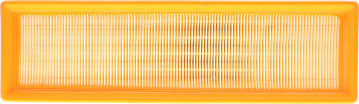 Renault / Nissan 165469466R