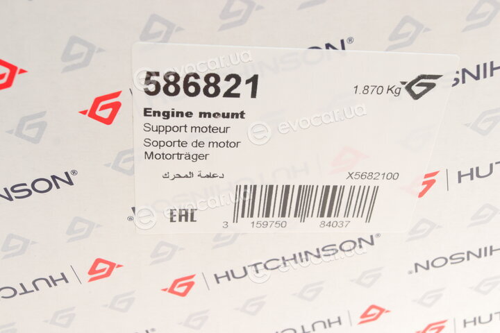 Hutchinson 586821