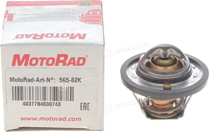 Motorad 565-82K