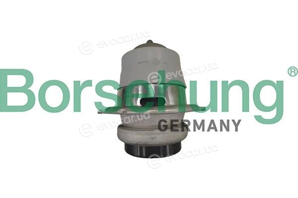 Borsehung B12891