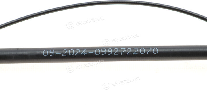 Solgy 219020