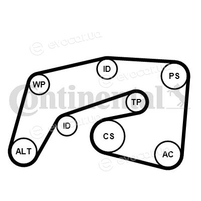 Continental 7PK2035K1