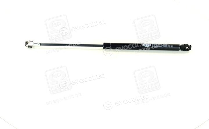 Magneti Marelli 430719041300