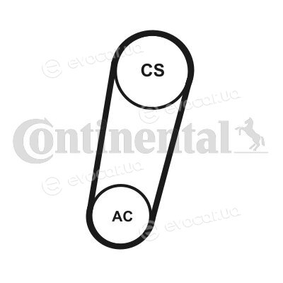 Continental 5PK705 ELAST T1