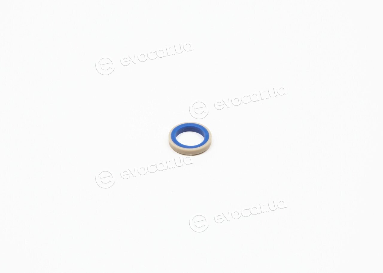 Bosch F 01M 101 537