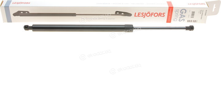 Lesjofors 8155464