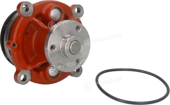 Dolz D301