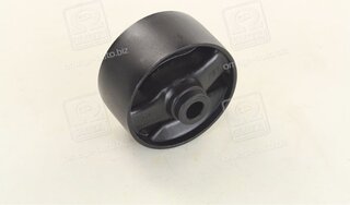 RBI T0910FA