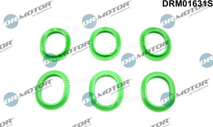 Dr. Motor DRM01631S