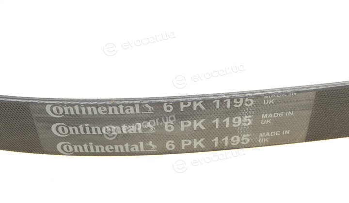 Continental 6PK1195
