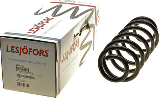 Lesjofors 4204270