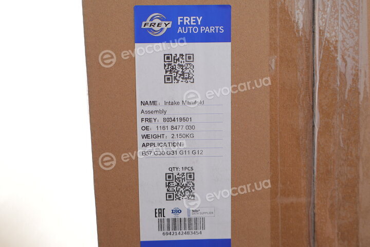 Frey 803419501