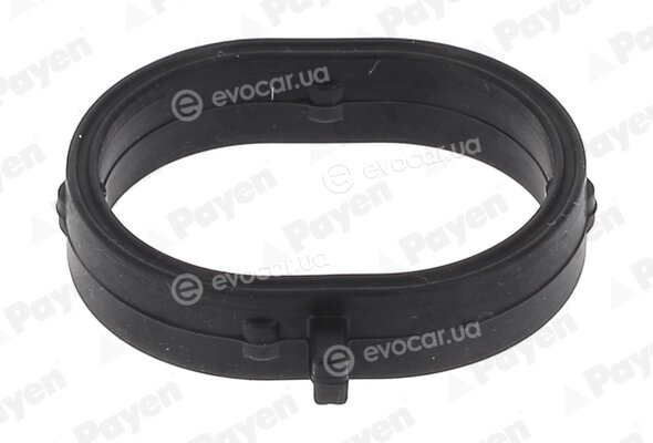 Payen JD6191