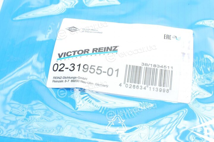 Victor Reinz 02-31955-01