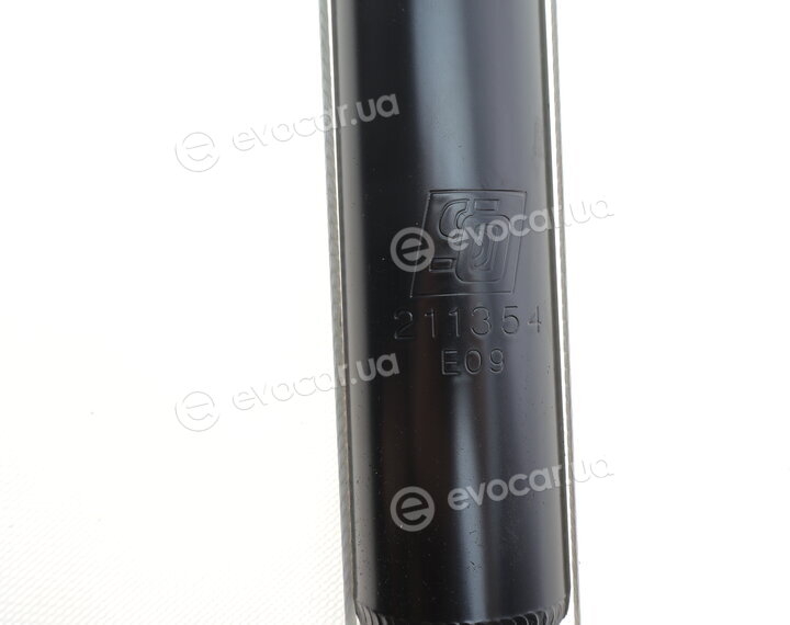 Solgy 211354