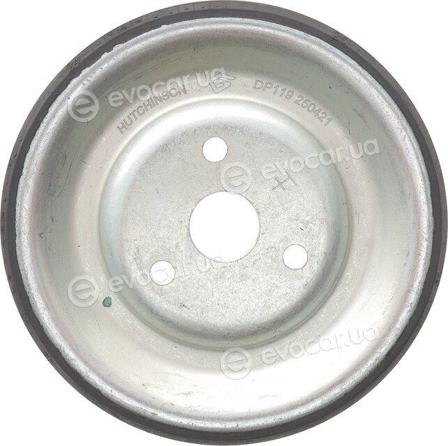 Hutchinson DP 119