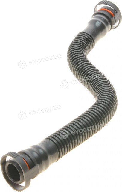 Bogap B1210160