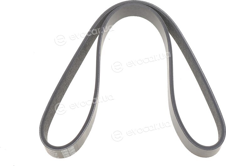 Dayco 6PK989EE